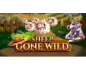 8a8e6bb7796662aea8ce63f517a3ea1b_1706464193_8045.png